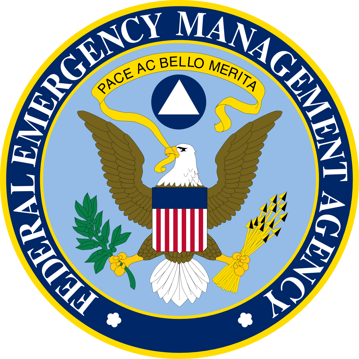 The Federal Emergency Management Agency (FEMA)
